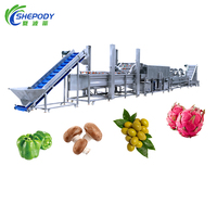 Volautomatische Industriële Schone Wortelgroene Wasverwerkingslijn/Bevroren Fruitgroente Productielijn