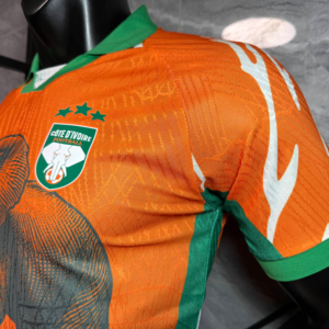 Uniforme de l'équipe nationale de football de Côte d'Ivoire personnalisable, 100% polyester, col rond, manches courtes, impression par transfert thermique, anti-UV - Product Image 1