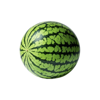Poudre de Matcha Culinaire à la Pastèque avec une Finale Rafraîchissante et Juteuse, Texture Ultrafine et Lisse pour la Pâtisserie et la Fabrication Alimentaire