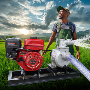 <span class=keywords><strong>Bomba</strong></span> de agua centrífuga autocebante de 1 pulgada SU-25 de salida de fábrica para riego agrícola con polea - Product Image 2