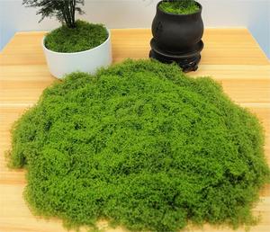 Nhân Tạo Rêu Ngoài Trời Trang Trí Nội Thất 100G Sống Động Như Thật Màu Xanh Lá Cây Giả Rêu Lý Tưởng Cây Cảnh Thu Nhỏ Nhà Máy Cảnh Gần Tự Nhiên Tăng Cường Cảm Hứng - Product Image 4
