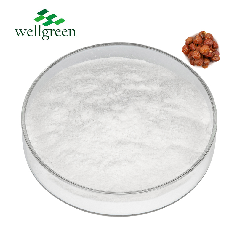 100 Manufacturer Natural Nut Fruit Shell