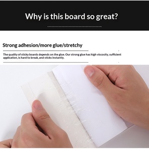 Trampa de pegamento de papel perfumado personalizada <span class=keywords><strong>para</strong></span> ratones y ratas, adhesivo multidireccional con atracción, tablero adhesivo. - Product Image 2