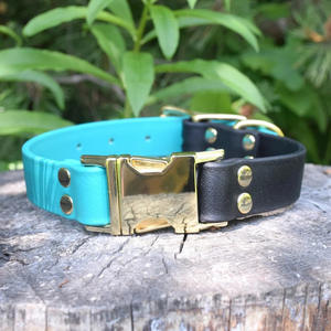 2023 grosir anjing peliharaan warna khusus kontras kalung PVC Set tali kulit personalisasi padat dapat mencetak nama anjing - Product Image 5