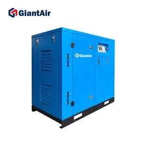 GiantAir 2.2kw 0.24m 3/dak yağsız kompresör kaydırma tipi hava kompresörü diş ekipmanları