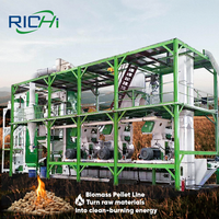 Ligne de production de granulés de biomasse RICHI, personnalisée, 8-10t/h, pour la production de granulés de bois, de paille, de coques de riz et d'herbe