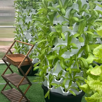 Tour d'ananas à 80 trous Systèmes hydroponiques Système de tour d'intérieur pour la culture de légumes