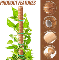 Support de plante Moss Pole Monstera pour plantes d'intérieur grimpantes Piquets pour grimpeurs en pot Bâtons hauts Treillis d'intérieur pour plante d'intérieur