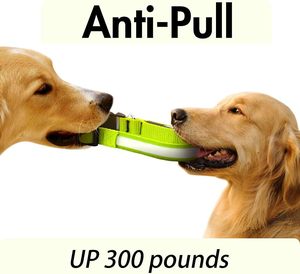 Luces Led para perros y mascotas, collares ajustables de poliéster que brillan en la noche, collar intermitente luminoso seguro para perros y gatos - Product Image 5