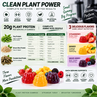 Gummies Riches en Protéines de Pois, 120 Pièces par Sachet, OEM ODM, Marque Privée, Fournisseur Fabricant Personnalisé, Complément Alimentaire de Qualité Alimentaire en Vrac
