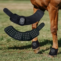 Ceinture de thérapie par lumière rouge pour chevaux avec batterie rechargeable intégrée, LED infrarouges 660nm 850nm, pour soulager la douleur équine, avec fonction pulsée et minuterie