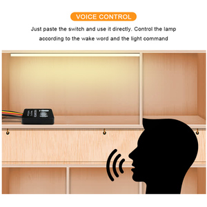 DC12V-24V智能双色迷你方形发光二极管灯条语音控制器，色温模式可调 - Product Image 4