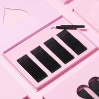 Extensions de cils individuelles en gros – Cils classiques et volume C, CC, D, DD – Extensions de cils courbés