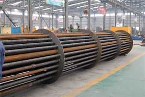 Machine de séchage rotative de tourbe de noix de coco à faible consommation - Product Image 4