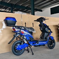 Vélo électrique avec batterie à pédalage assisté 60V 500W, vélo électrique pour homme et femme