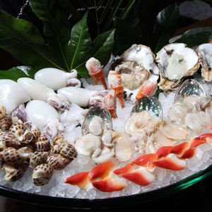 Zakelijke Kauwklomp Crash Ijs Machine Sneeuwvlok Korrelige Ijsmaker Voor Een Lange Levensduur - Product Image 5