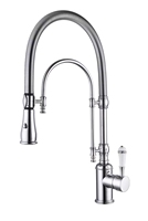 Robinet de cuisine de luxe doré à rotation 360° avec douchette extractible, double tuyau en laiton, multifonctionnel, à ressort, pour eau chaude et froide BG1007