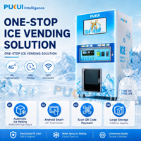 Distributeur automatique de glace PUKUI avec SDK - Paiement par pièces et carte de crédit/codes QR, refroidissement par compresseur, utilisation en intérieur, garantie 1 an