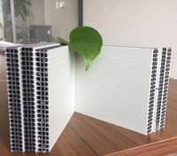 Ligne de production de coffrage mural creux en PP ZhongSu pour panneaux en plastique, haute productivité, moteur, gabarit de construction en plastique