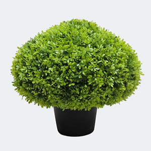 <span class=keywords><strong>Piante</strong></span> artificiali finte <span class=keywords><strong>in</strong></span> <span class=keywords><strong>vaso</strong></span> decorazione del <span class=keywords><strong>cortile</strong></span> casa ufficio <span class=keywords><strong>piante</strong></span> verdi artificiali <span class=keywords><strong>in</strong></span> <span class=keywords><strong>vaso</strong></span> di plastica - Product Image 6