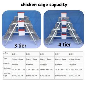 Bâtiment d'élevage de poulets, <span class=keywords><strong>poulailler</strong></span> pour <span class=keywords><strong>poules</strong></span> pondeuses au Nigéria - Product Image 2