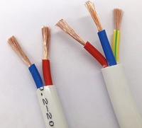 Harga grosir RVV 2-core 3-core kawat LED PVC dan kabel dari manufaktur kabel Hebei di Cina