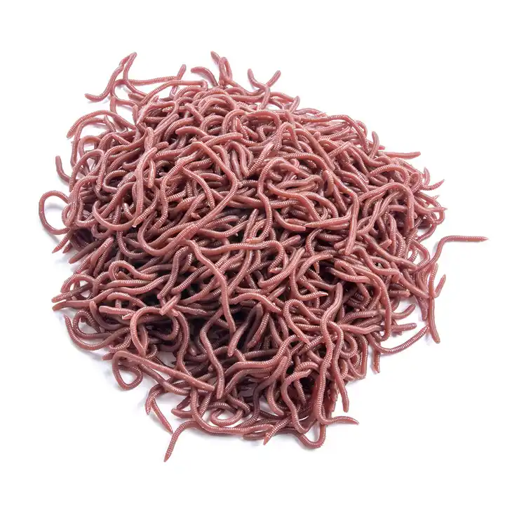 Wholesale 8cm 50pcs/bag Artificial Lifelike Earthworm