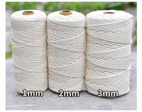 Cordon en macramé torsadé en coton naturel 100% blanc, corde tressée faite à la main pour décoration murale en gros