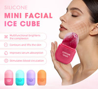 Outils compacts pour le soin de la peau, mini cube de contour pour le soin quotidien de la peau, rouleau facial glacé pour femme, moule de massage glacé OEM, rouleau facial glacé OEM