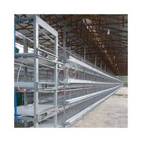 Cage à poulets de chair de type H entièrement automatique
