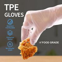 Guantes Híbridos Finos de TPE para Limpieza de Mascotas, Resistentes al Agua, Transparentes, para Cocina, Barbacoa, Jardín, con Pantalla Táctil