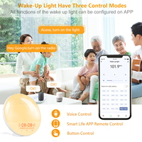 Sonnenaufgang-Wecker mit Lichtfunktion, WLAN, Natürlichen Klängen, UKW-Radio, USB-Betrieb, Kunststoffgehäuse, 1 Jahr Garantie, OEM ODM Hersteller