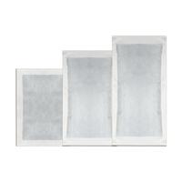 Pack de chauffe-eau 24 h, vente en gros d'usine, coussin chauffant micro-ondes pour reptile, pack uniheat 48h