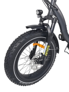 Bicicleta Eléctrica Plegable Queene 500 750 1000 con Neumáticos Anchos, Motor Central, Largo Alcance, 45AH, para Nieve, para Adultos - Product Image 1