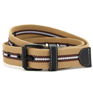Günstiger Gestreifter Canvas-Gürtel Strapazierfähiger Nicht-Dehnbarer Stoffgürtel Metallösen Doppelrollenschnalle Outdoor Freizeitgürtel - Product Image 1