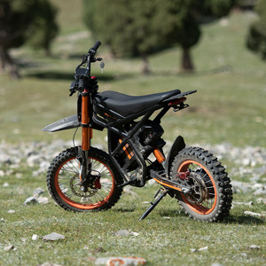 Ridingtimes GT54 2000W Dirt Bike Adult 48V Removable Batteries - Product Image 1