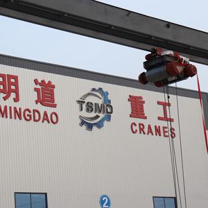 Grue à portique spécifique au port |   Conception anti-corrosion de 50 à 500 tonnes |   Certification CE + ISO double |   Modèles à succès au Moyen-Orient - Product Image 3