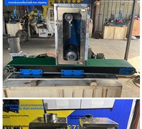 Petite ponceuse à bande électrique, machine de polissage à plat, ébavureuse pour plaques d'acier inoxydable, finition brossée, fréquence variable