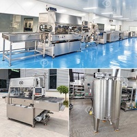 Machine à enrober au chocolat Freezze pour dattes, fruits secs et fruits enrobés, modèle 5 Beck, enrobeuse continue pour la fonte des noix et l'enrobage du bois