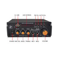 Mini voiture Audio amplificateur de puissance haut-parleur DC 12V 220V BT amplificateur de puissance maison karaoké stéréo professionnel amplificateur Audio récepteur