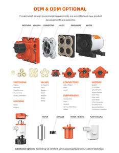 Seaflo 12 <span class=keywords><strong>Volt</strong></span> <span class=keywords><strong>Motor</strong></span> Waterpomp Booster Pompen Voor Waterdruk Water Pompmachine - Product Image 6