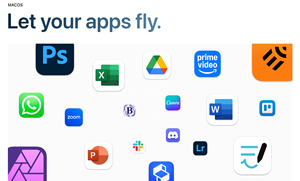 MAC OS <strong>Programming</strong> &amp; Development Software for Home Business with Lifetime Use Online Internet Key Bind Your Own Email-in Stock - Product Image 5