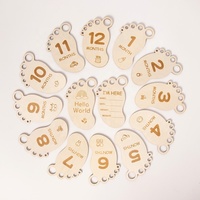 14 cartes de jalon Boho Hello World Signe de naissance en bois Baby Birth Shower Rainbow Mile Stone Plaques Milestone Discs