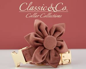 Conjunto de Collar y Correa Personalizados para Perro Arizona Vee con Diseño de Lazo de Flores, Placa con Nombre Grabada en Oro, Accesorio para Cachorros de Boda - Unisex - Product Image 3