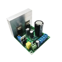 Module amplificateur de puissance mono 20W 1969 petite classe A avec radiateur, alimentation DC12V, carte amplificateur audio électronique