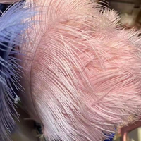 Nouvelles Idées de Produits 2025 – Boa en Plumes d'Autruche 100% Naturelles, Franges Artisanales, Meilleures Ventes pour Décoration de Mariage et Fournitures