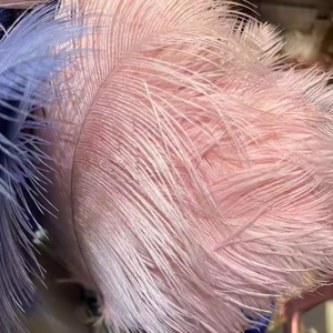 Nouvelles idées de produits 2025 best-seller artisanat 100% plume frange autruche Boa plume pour décoration de mariage et fournitures