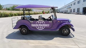 Voiture électrique de tourisme vintage de luxe de haute qualité, style panoramique, RC-03, 4 à 17 places, vitesse maximale de 30-40 km/h, couleur personnalisée - Product Image 2