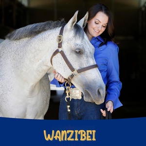 Complément alimentaire en poudre d'électrolytes Apple Elite personnalisé pour chevaux, remplace les minéraux essentiels, encourage l'hydratation, sans sucre ajouté - Product Image 5