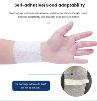 Bandage élastique flexible auto-adhésif respirant à la chlorhexidine jetable LTB Marque 2,5 cm X 4 m Unisexe